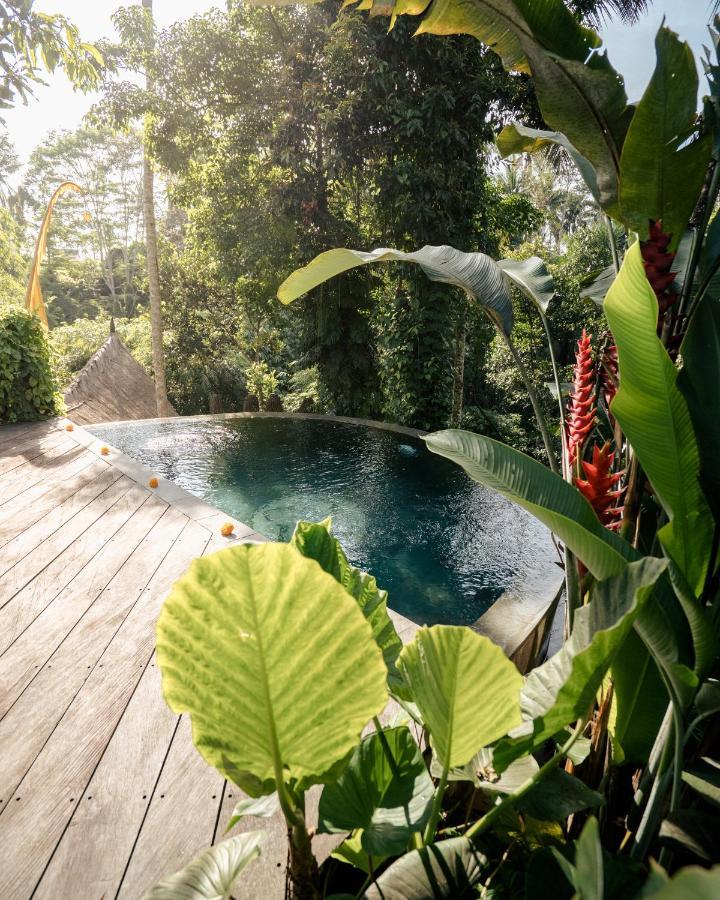 ホテル Basundari Retreat Ubud エクステリア 写真