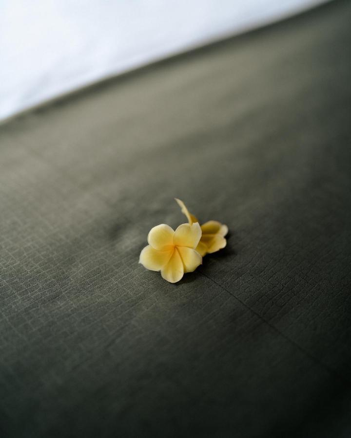ホテル Basundari Retreat Ubud エクステリア 写真