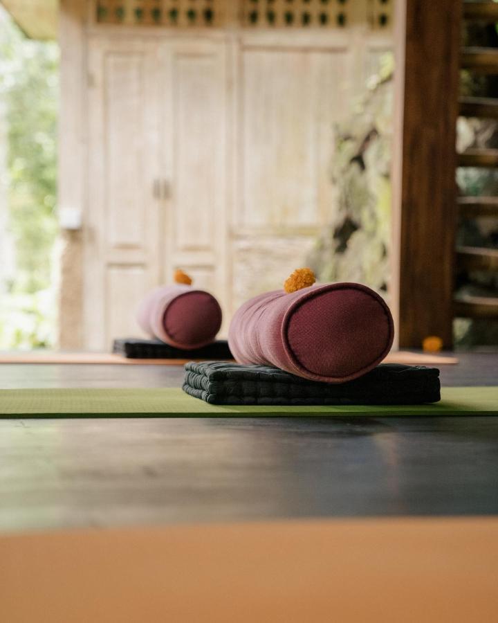 ホテル Basundari Retreat Ubud エクステリア 写真